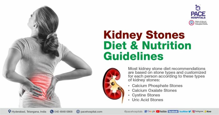 Diet renal disease kidney food pyramid dialysis foods nutrition failure chronic list intake transplant guidelines protein avoid menu healthy recipes