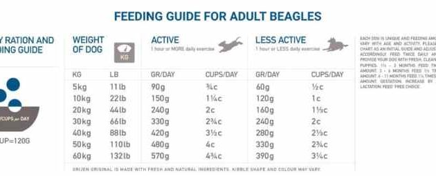 Beagles Nutrition Facts Food A Comprehensive Guide