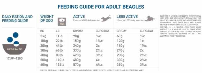 Beagles nutrition facts food