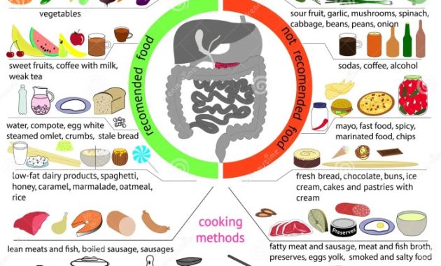 ernährungs docs rezepte bauchspeicheldrüse Ein kulinarisches Abenteuer