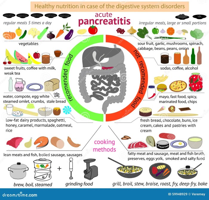 Ernährungs docs rezepte bauchspeicheldrüse